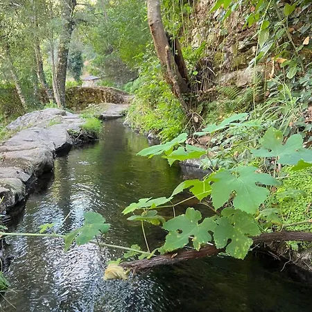 Casa Xisto Do Acor * Arganil