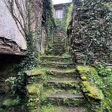 Prázdninový dům Casa Xisto Do Acor Arganil