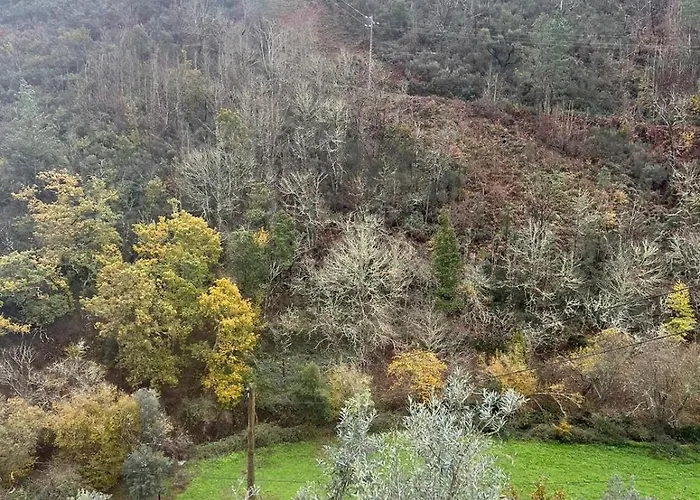 Casa Xisto Do Açor Arganil