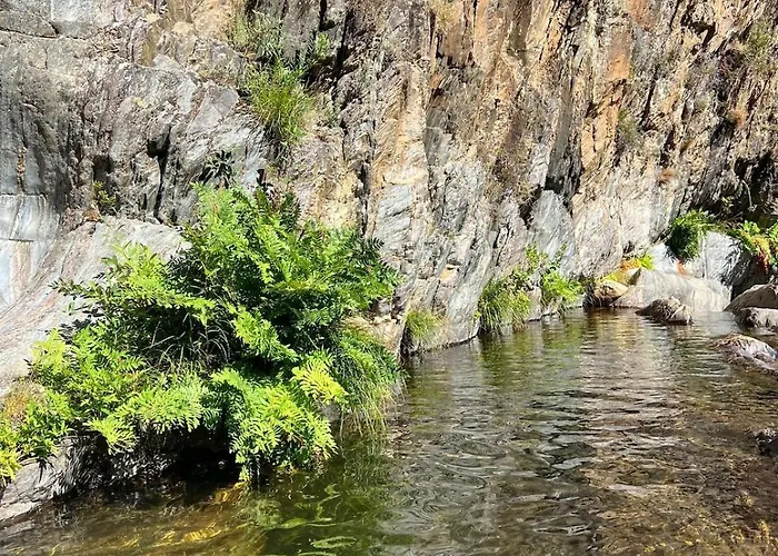 Casa Xisto Do Açor *