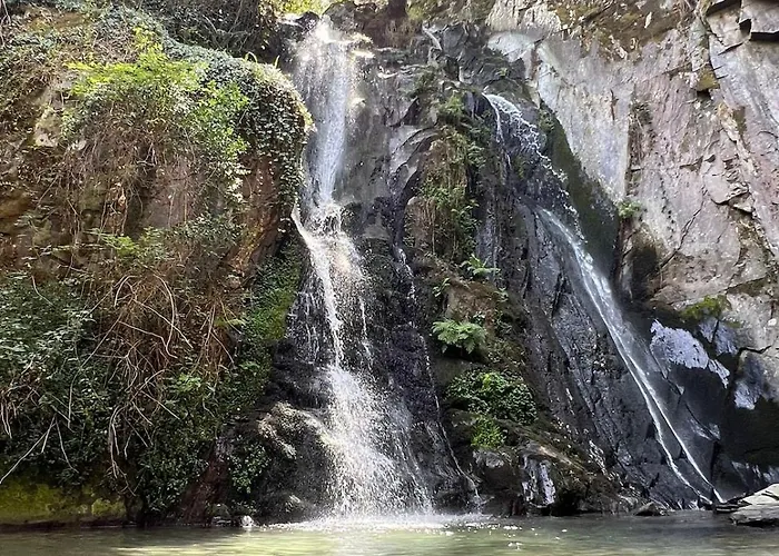 Casa Xisto Do Açor Casa de Férias Arganil